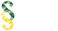 Logo SKN Tax